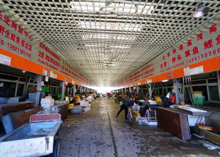 疫情期间房屋租赁租金减免政策（疫情期间出租房屋减免租金政策）