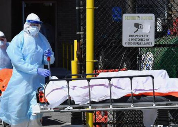 新型冠状疫情死了多少人（新冠疫情死亡人数是多少）