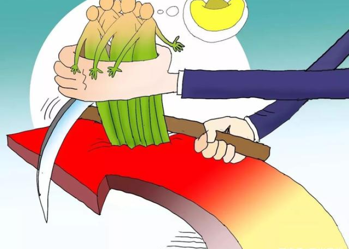包含三年疫情割韭菜公司是不是发财了的词条