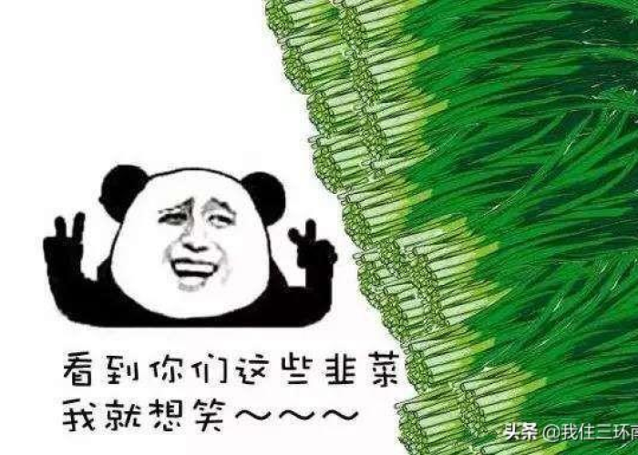 包含三年疫情割韭菜公司是不是发财了的词条