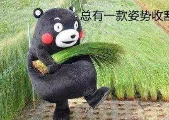 包含三年疫情割韭菜公司是不是发财了的词条