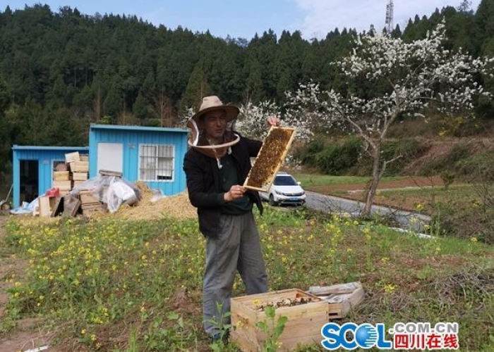 我和疫情的故事作文1000字（我和疫情作文300字）