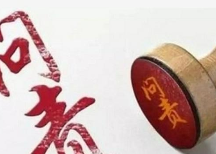 湖北疫情问责官员（湖北疫情领导处理）