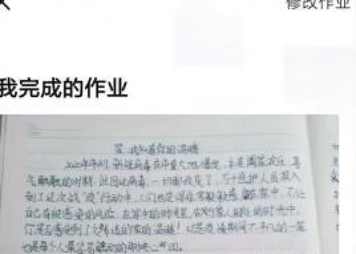 疫情感动瞬间2020站岗（疫情站岗的作文）