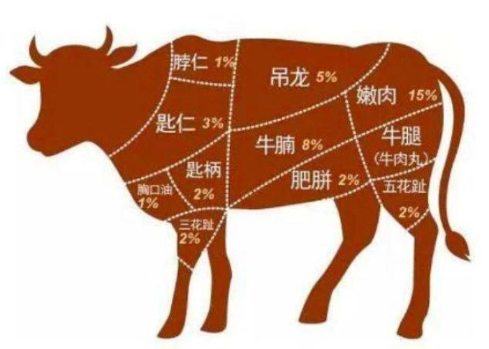 疫情视频纪录片（疫情视频纪录片有哪些）