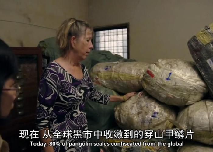 疫情来源是不是蝙蝠（疫情源头到底是不是蝙蝠）