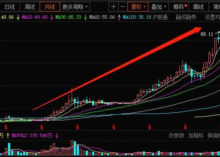 2020年新冠疫情爆发样子（2020年新冠肺炎疫情的爆发）