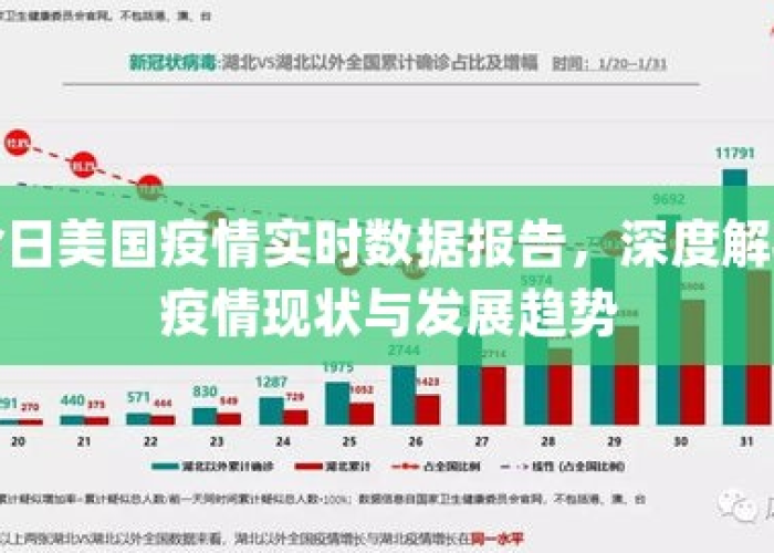 疫情的发展过程与现状（疫情的发展过程等资料）