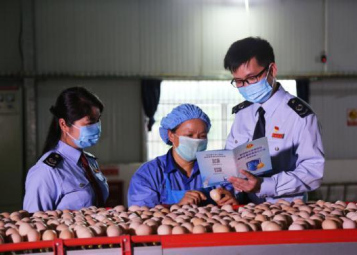 疫情社保减免优惠政策到什么时候（疫情期社保减免政策从什么时候开始）