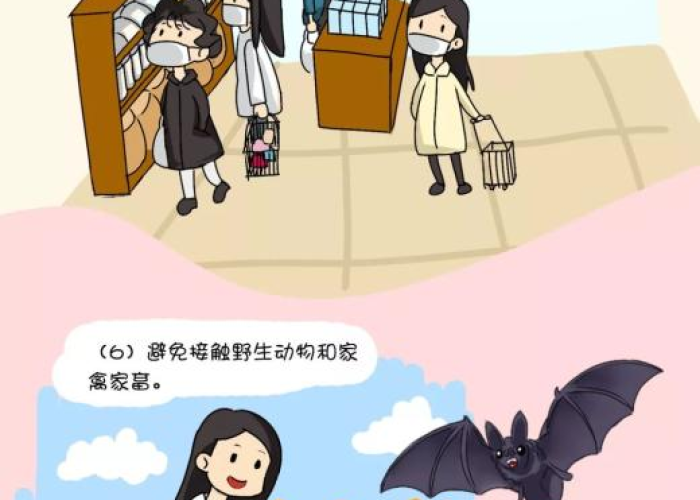 疫情期间我们该在家做些什么（在疫情期间我们在家里可以做些什么）