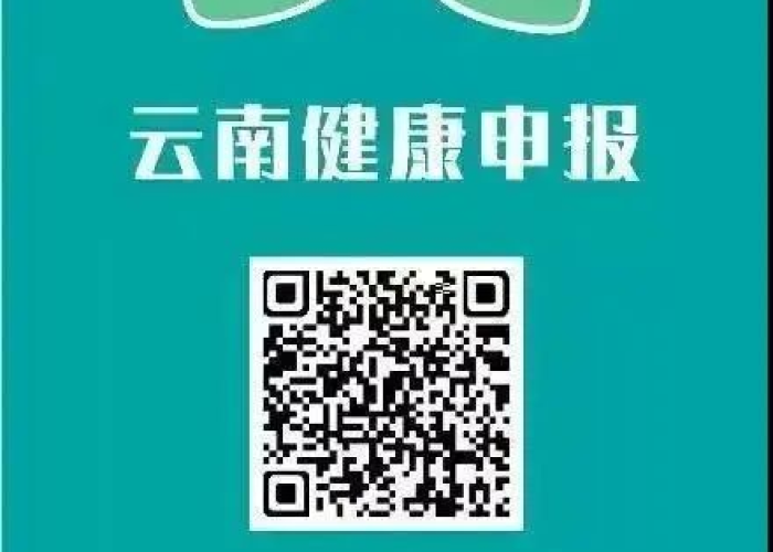 疫情健康码（疫情健康码图片）