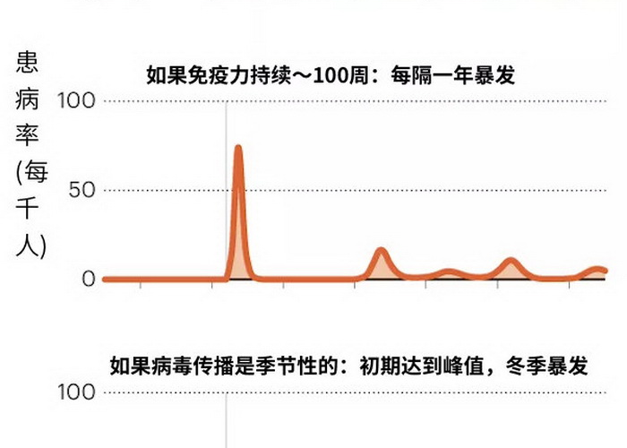 2021年疫情从何而来（2021年疫情起源）