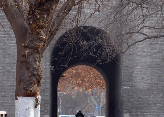疫情中国花了多少钱人民币（中国疫情花了多少钱2020）