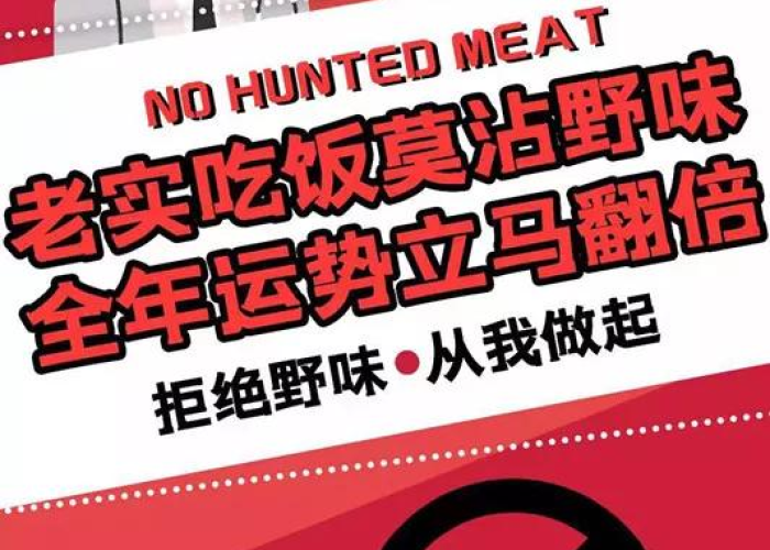 疫情文案正能量热门素材（疫情文案正能量热门素材短句）