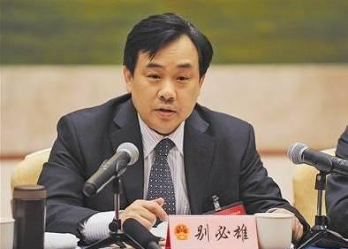 湖北疫情被处分领导（湖北疫情被处分的官员）