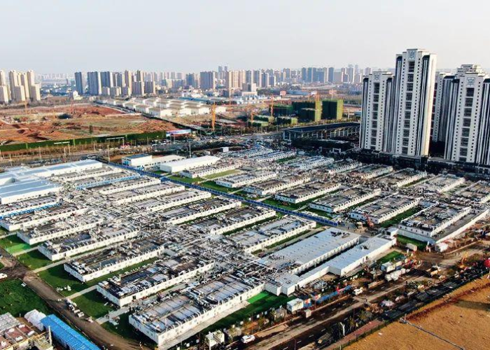 中国的疫情是怎样的（中国的疫情是怎样的一场）