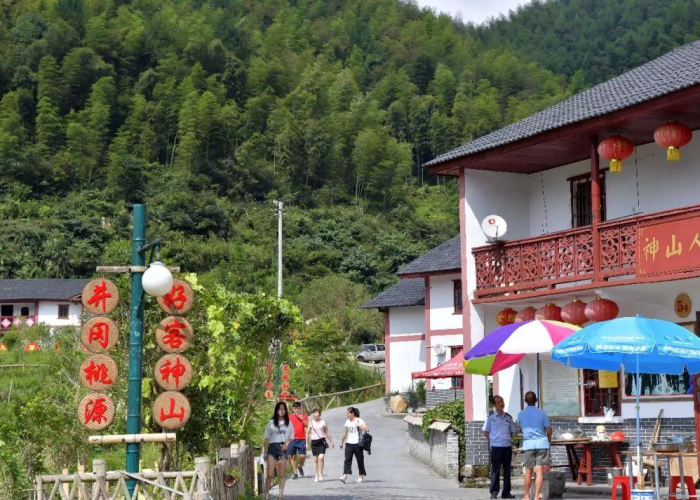 四川宜宾古柏疫情（四川省宜宾县古柏乡）