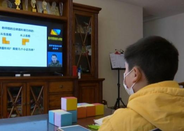 疫情是由什么原因引起（疫情到底是什么原因引起的）