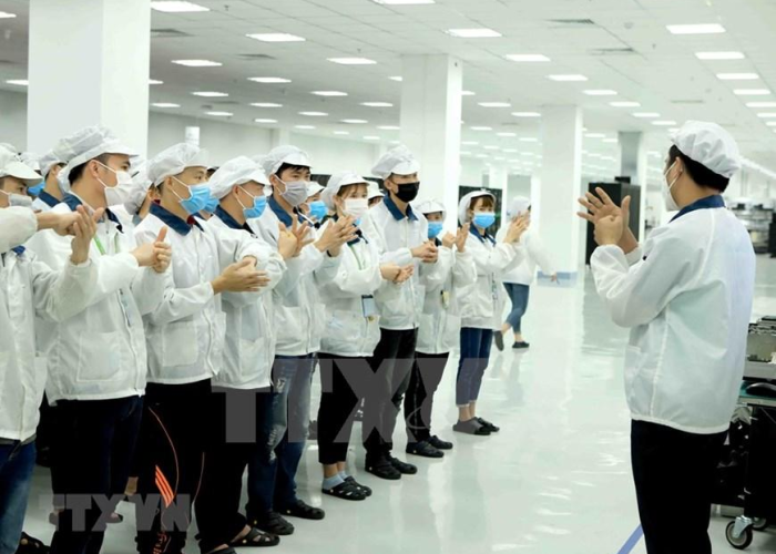 越南新冠疫情最新消息数据死亡率（越南新冠肺炎疫情最新）