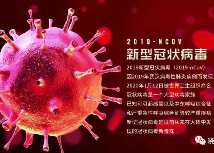 2020年新冠病毒疫情的爆发（2020年新冠状病毒所致的肺炎疫情爆发后）