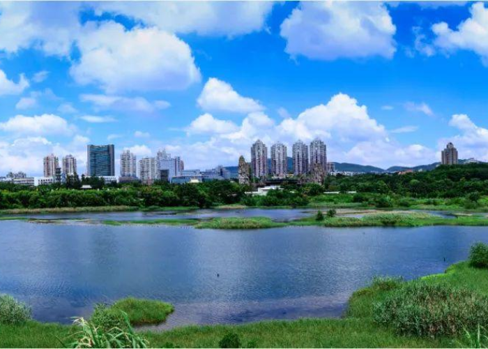 深圳疫情的起因和源头是什么（深圳疫情爆发的时间是几月几日）