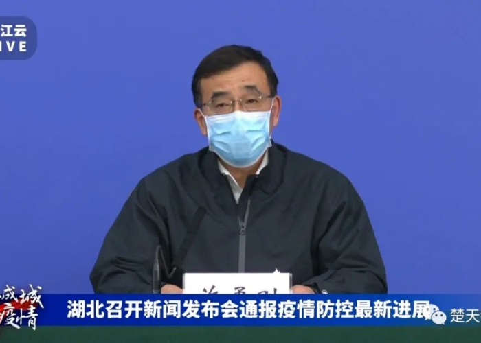 湖北疫情处理哪些干部（湖北省疫情处理的官员）