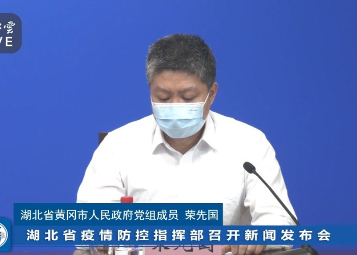 湖北疫情处理哪些干部（湖北省疫情处理的官员）