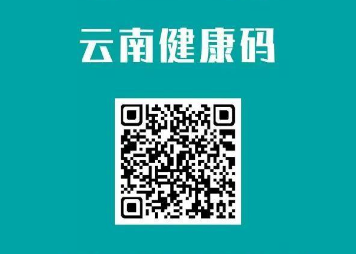 疫情期间需要什么健康码才能用呢（疫情期间需要什么码?）