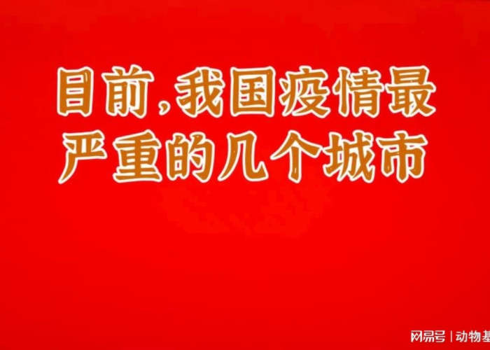 疫情最严重城市（疫情最严重的城市）