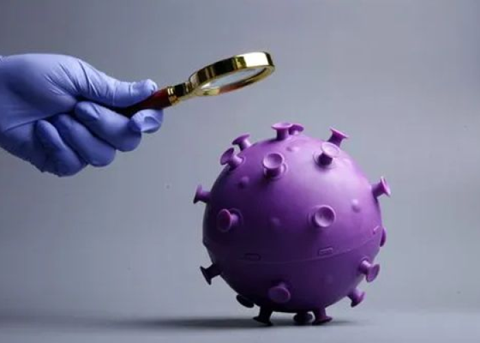 新冠疫情刚开始是什么时候开始的（新冠疫情是什么时候开始发现的）