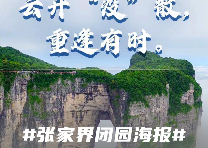 疫情背后的力量感悟（疫情背后的人）