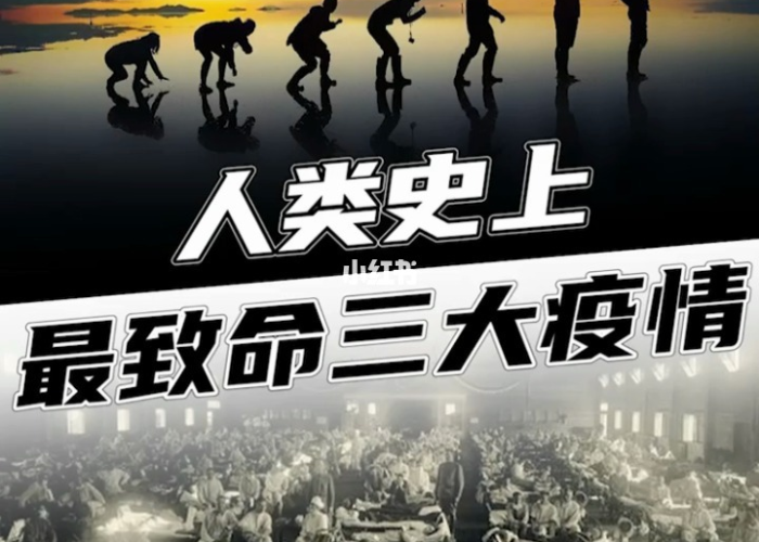 三年疫情两年灾难（3年疫情）