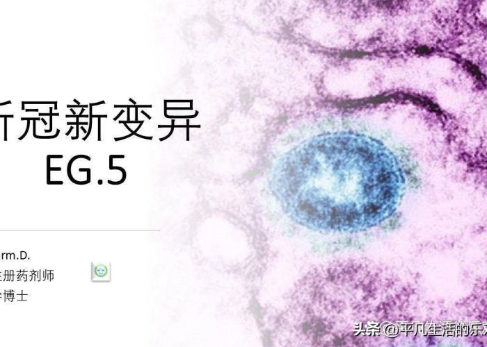 重庆新冠疫情是什么病毒（重庆新冠疫情是什么病毒感染）