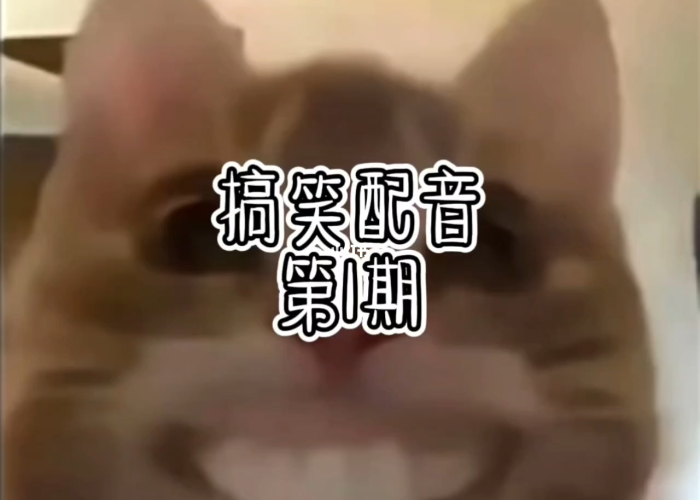 最新热门搞笑视频配音对口型疫情（疫情常用配音）