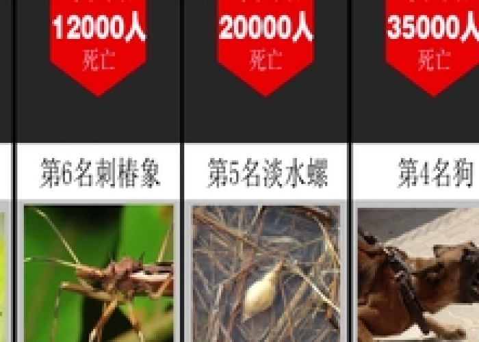 全世界疫情死亡情况（全世界疫情死亡情况排名）