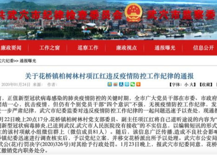 湖北领导因疫情被追责了吗（湖北省疫情被处理官员名单）