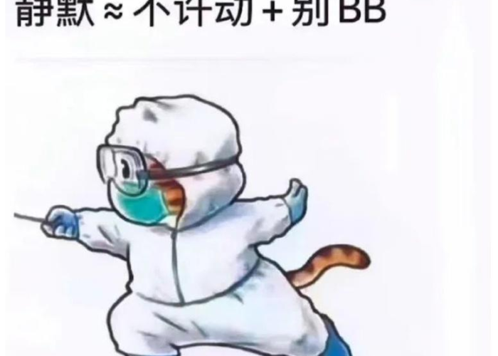 疫情追杀段子（疫情段子高手）