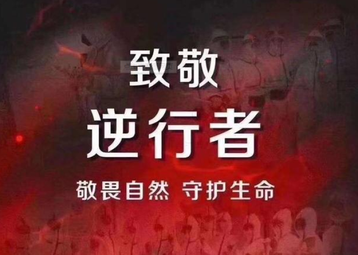 疫情当中的正能量（疫情当中的正能量句子）
