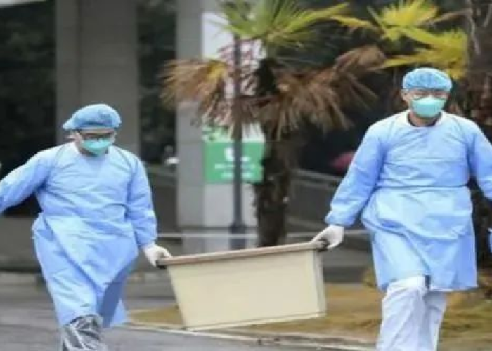 疫情放弃的国家（疫情国家没有放弃任何人）