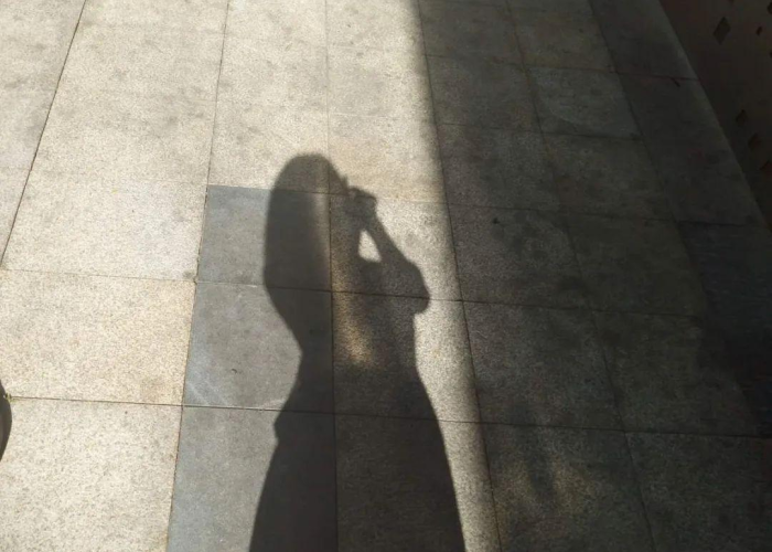 疫情是什么时候发生的几月几日（疫情是什么时候发生的几月几日开始的）