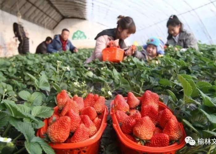 疫情什么时候能结束感觉好压抑（疫情什么时候才能彻底结束的句子）