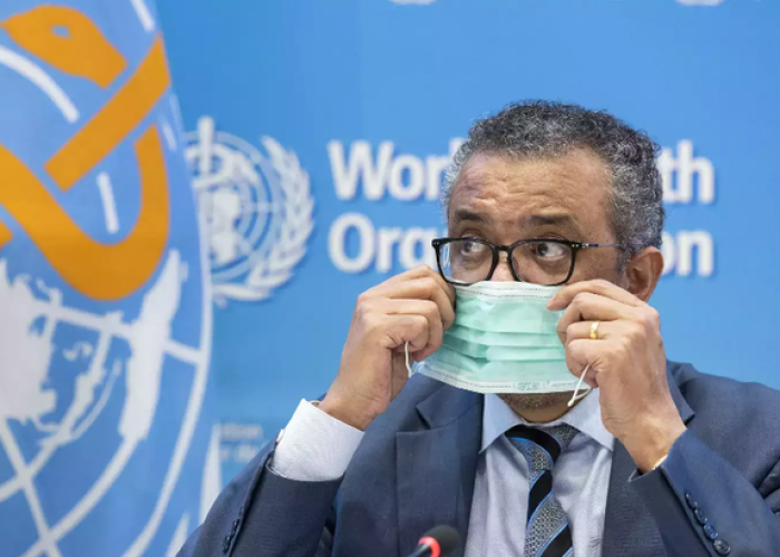 世卫组织宣布疫情结束的国家（世卫组织宣布疫情结束的标准）