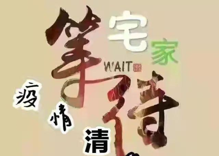 老外看中国疫情感动瞬间（老外看中国抗疫视频的反应）