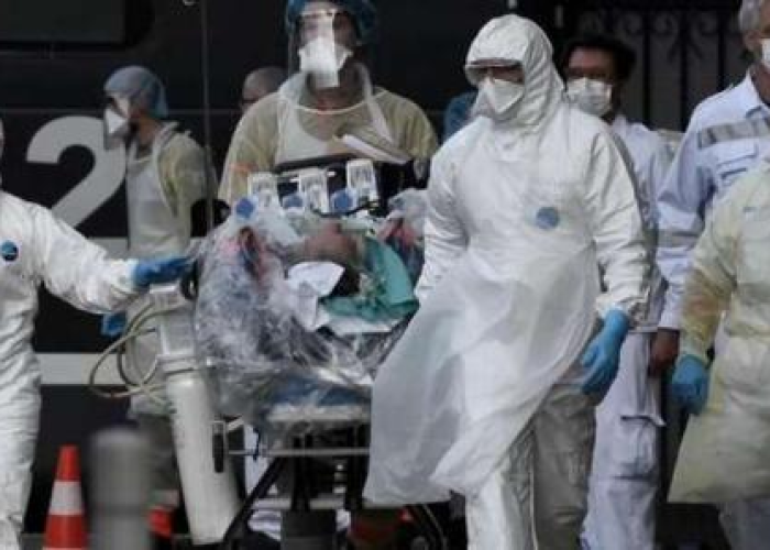 最新新冠疫情共计死亡多少人（新冠肺炎疫情目前死亡人数）