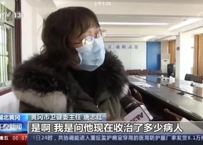疫情湖北多少官员被处理（湖北疫情官员总处理多少人）