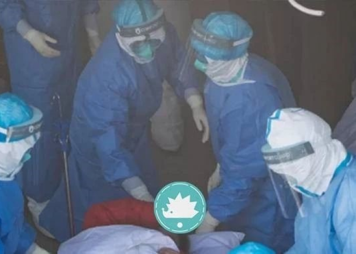 丁香园疫情视频回放（丁香园疫情视频回放下载）