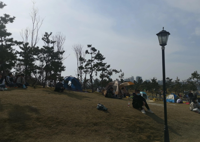 疫情拘留未执行清零（疫情拘留未执行清零会怎么样）