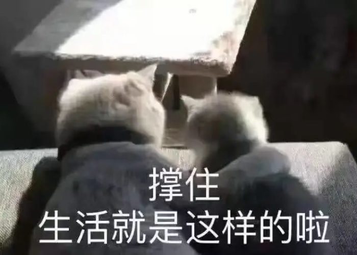 关于疫情搞笑文案（疫情的搞笑文案）