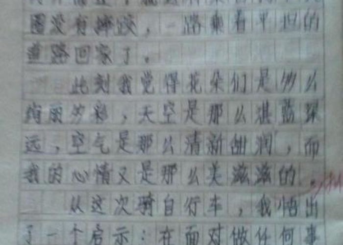 那段难忘的日子关于疫情作文（疫情那段难忘时光作文600字）