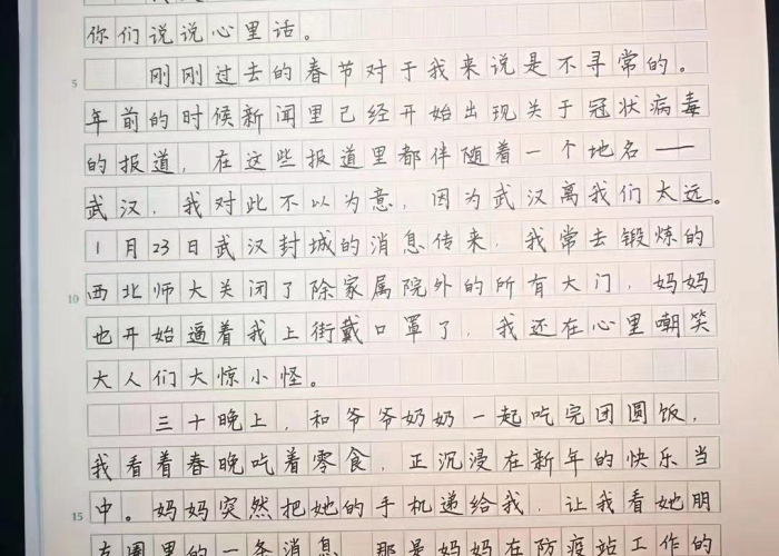 疫情中需要解决的问题作文（疫情期间的困扰）